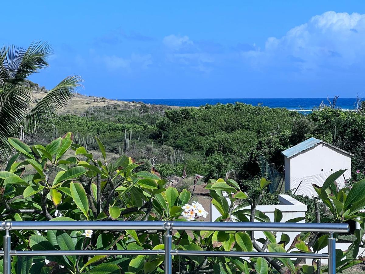 Villa Taiana Quarter of Orleans Екстериор снимка